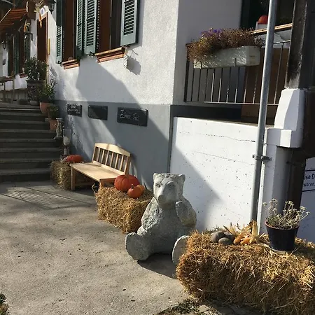 Bären