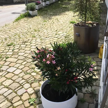 Bed & Breakfast Baeren 3*