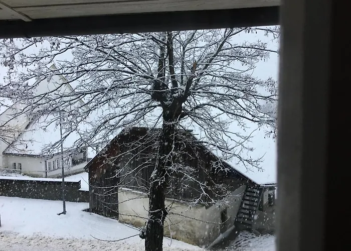 Bed & Breakfast Baeren