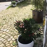 Bed & Breakfast Baeren 3*