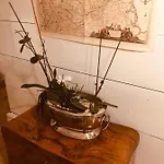 Baeren