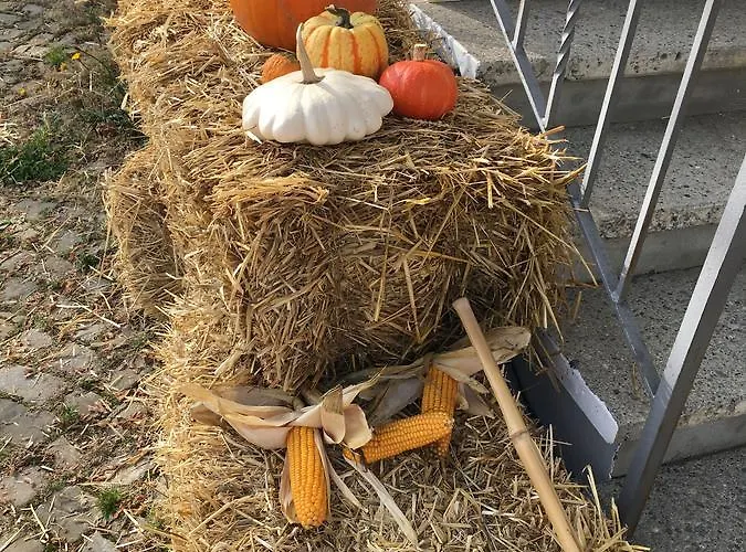 Bed & Breakfast Baeren