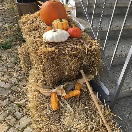 Bed and breakfast Baeren