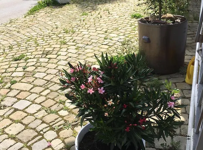 Alojamento de Acomodação e Pequeno-almoço Baeren 3*